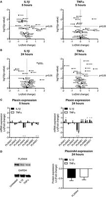 Downregulation of Endothelial Plexin A4 Under Inflammatory Conditions Impairs Vascular Integrity